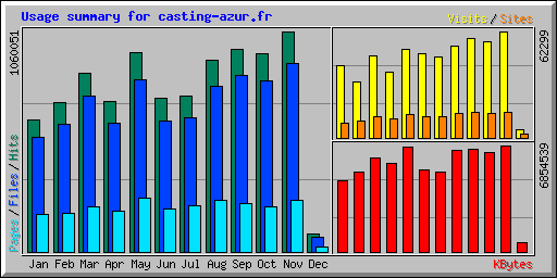 Usage summary for casting-azur.fr