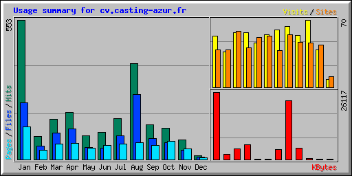 Usage summary for cv.casting-azur.fr